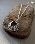 Silver sea-worn limpet pendant on a piece of driftwood